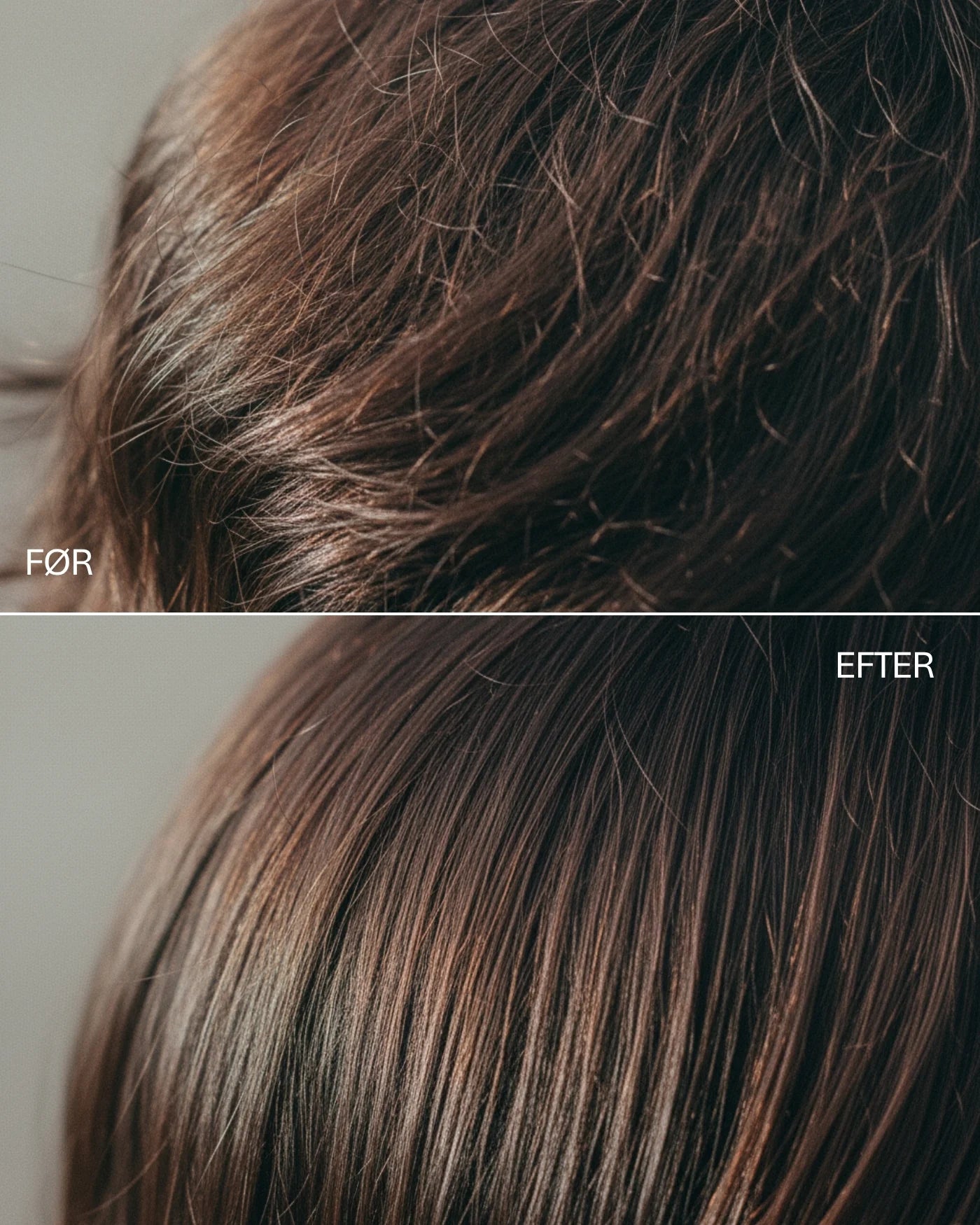 Anti-Frizz Shampoo & Conditioner